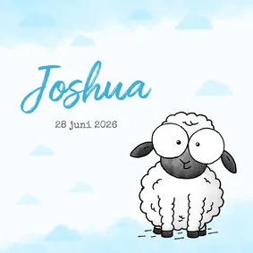 Geboortekaartje lief klein lammetje