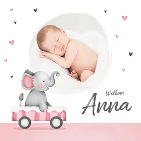 Geboortekaartje lief meisje olifant foto hartjes