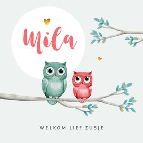 Geboortekaartje lief met uiltjes voor een zusje