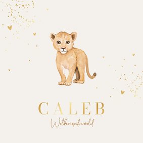 Geboortekaartje lief unisex leeuw welpje hartjes goud
