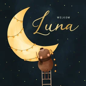 Geboortekaartje maan met beertje