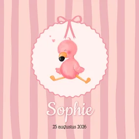 Geboortekaartje meisje flamingo met roze streepjes