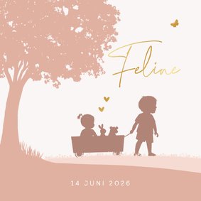 Geboortekaartje meisje in kar met broertje