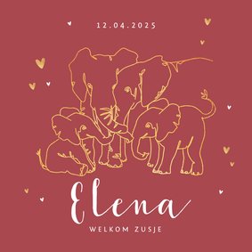 Geboortekaartje meisje olifant dieren zusje broertje goud