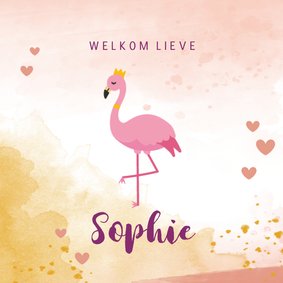 Geboortekaartje met flamingo illustratie en waterverf 