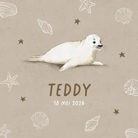 Geboortekaartje met getekend zeehondje en schelpen