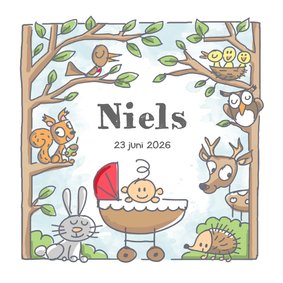 Geboortekaartje met jongen in bos met dieren