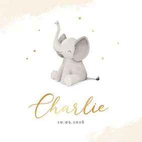Geboortekaartje olifantje hartjes lief waterverf dieren