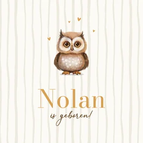 Geboortekaartje schattig uiltje beige lief gestreept