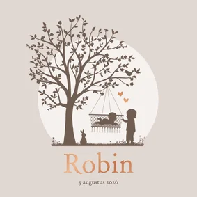 Geboortekaartje silhouet baby in hangschommel en broertje