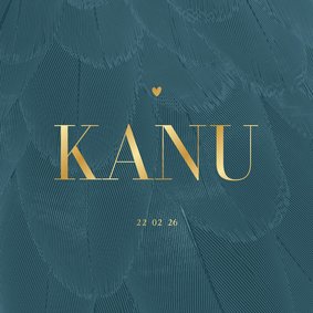 Geboortekaartje stijlvol blauw met veren