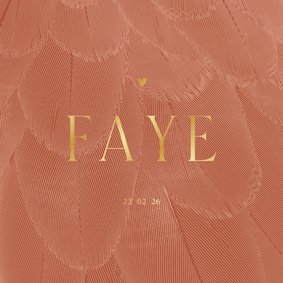 Geboortekaartje stijlvol terra met veren