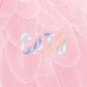 Geboortekaartje trendy veren roze met rood