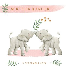 Geboortekaartje tweeling meisjes met lieve olifantjes 