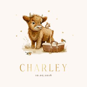 Geboortekaartje unisex dieren mozesmand waterverf schattig