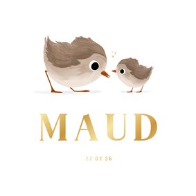 Geboortekaartje voor een broertje of zusje met vogeltjes 