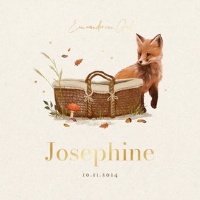 Geboortekaartje vosje herfst mozesmand lief christelijk