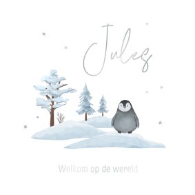 Geboortekaartje winter illustratie pinguïn sneeuw zilver