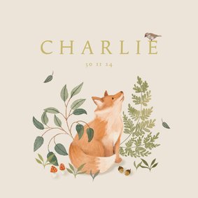 Geboortekaartje zoon met vosje, musje en paddenstoeltjes