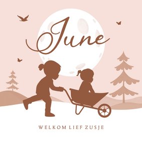 Geboortekaartje zusje silhouetjes kruiwagen natuur bomen