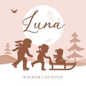 Geboortekaartje zusje winter slee sneeuw silhouetjes