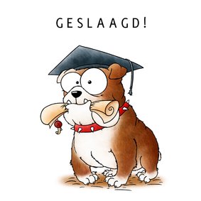 Geslaagd kaart bulldog