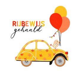 Geslaagd kaart rijbewijs oldtimer geel vogel ballonnen