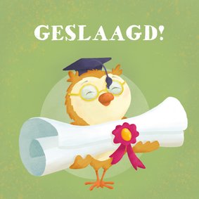 Geslaagd kaart uiltje met diploma