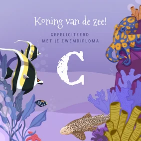 Geslaagd kaart zwemdiploma C koning van de zee