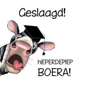 Geslaagdkaart boera met grappige koe