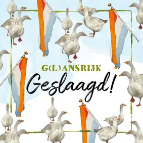 Geslaagdkaart g(l)ansrijk geslaagd