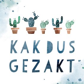 Gezakt kaart 'kakdus gezakt' met cactussen en waterverf