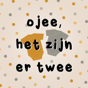 Grappig felicitatiekaartje tweeling 'ojee het zijn er twee'