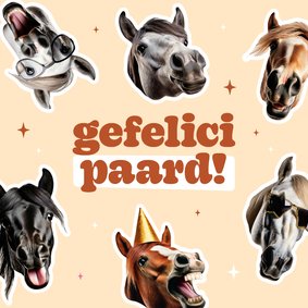 Grappig verjaardagskaartje gefelicipaard met paarden