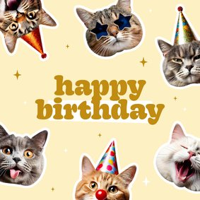 Grappig verjaardagskaartje met katten happy birthday