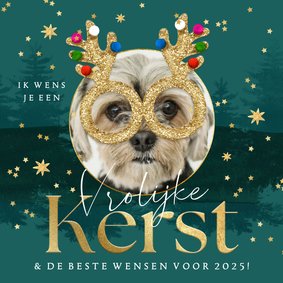 Grappige fotokaart kerst met hond kerstbril