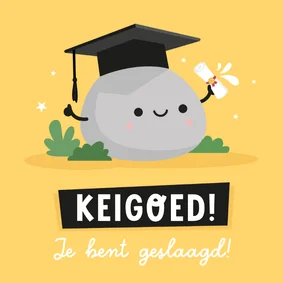 Grappige geslaagd kaart 'keigoed' met steen met oogjes