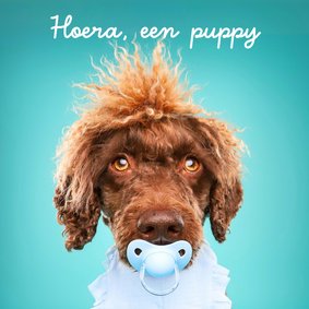 Grappige kaart puppy van hond blauwe speen en slabbetje