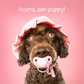 Grappige kaart voor puppy van hond met roze speen en mutsje