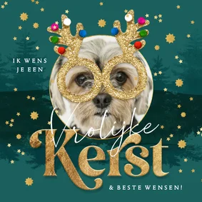 Grappige kerstkaart foto glitterbril rendier sterren goud