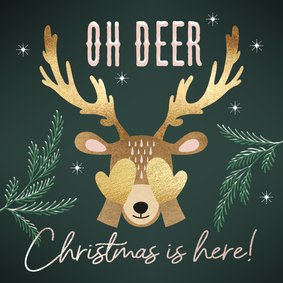 Grappige kerstkaart hert Oh Deer groen