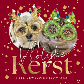 Grappige kerstkaart kerstbrillen glitter huisdier sterren