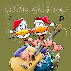 Grappige kerstkaart met twee vogels die gitaar spelen