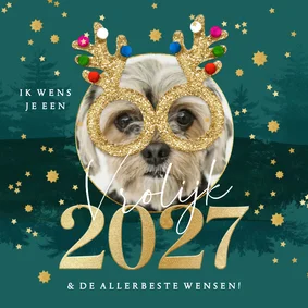 Grappige nieuwjaarskaart glitterbril foto jaartal goudlook