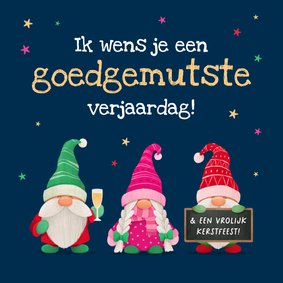 Grappige verjaardagskaart gnomes kabouters goedgemutst humor