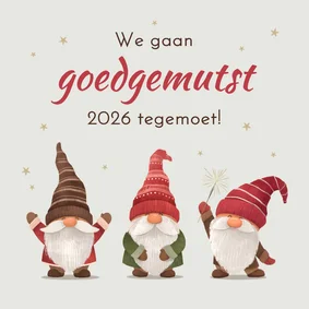 Grappige zakelijke kerstkaart kabouters goedgemutst 2027