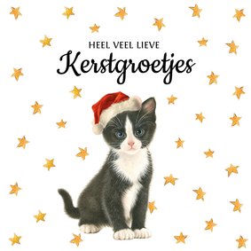 Heel veel kerststerretjes en en lief kerstpoesje