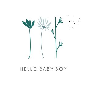 Hello Baby Boy, schattige bloemen