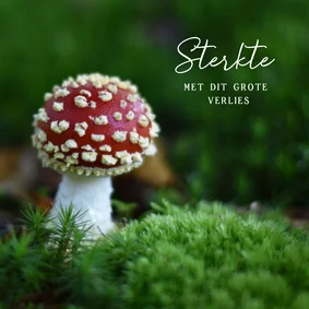 Herfst condoleancekaart met een foto van een vliegenzwam