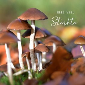 Herfst sterkte kaart met natuur foto van paddestoelen